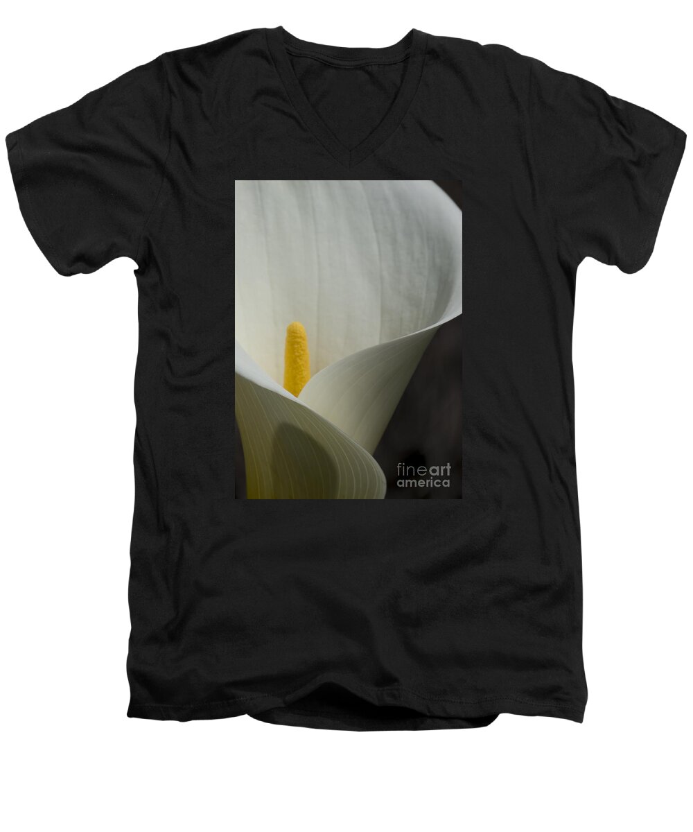 Flowers Men's V-Neck T-Shirt featuring the photograph Heart of the Lily by Lili Feinstein