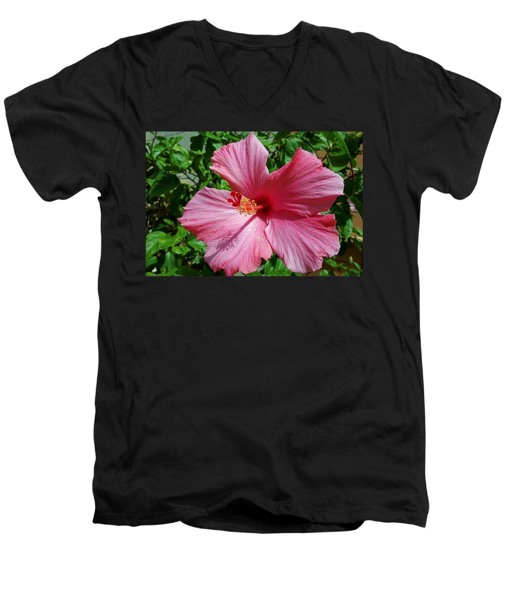 Flower Men's V-Neck T-Shirt featuring the photograph Hibiscus flower by Gary Corbett
