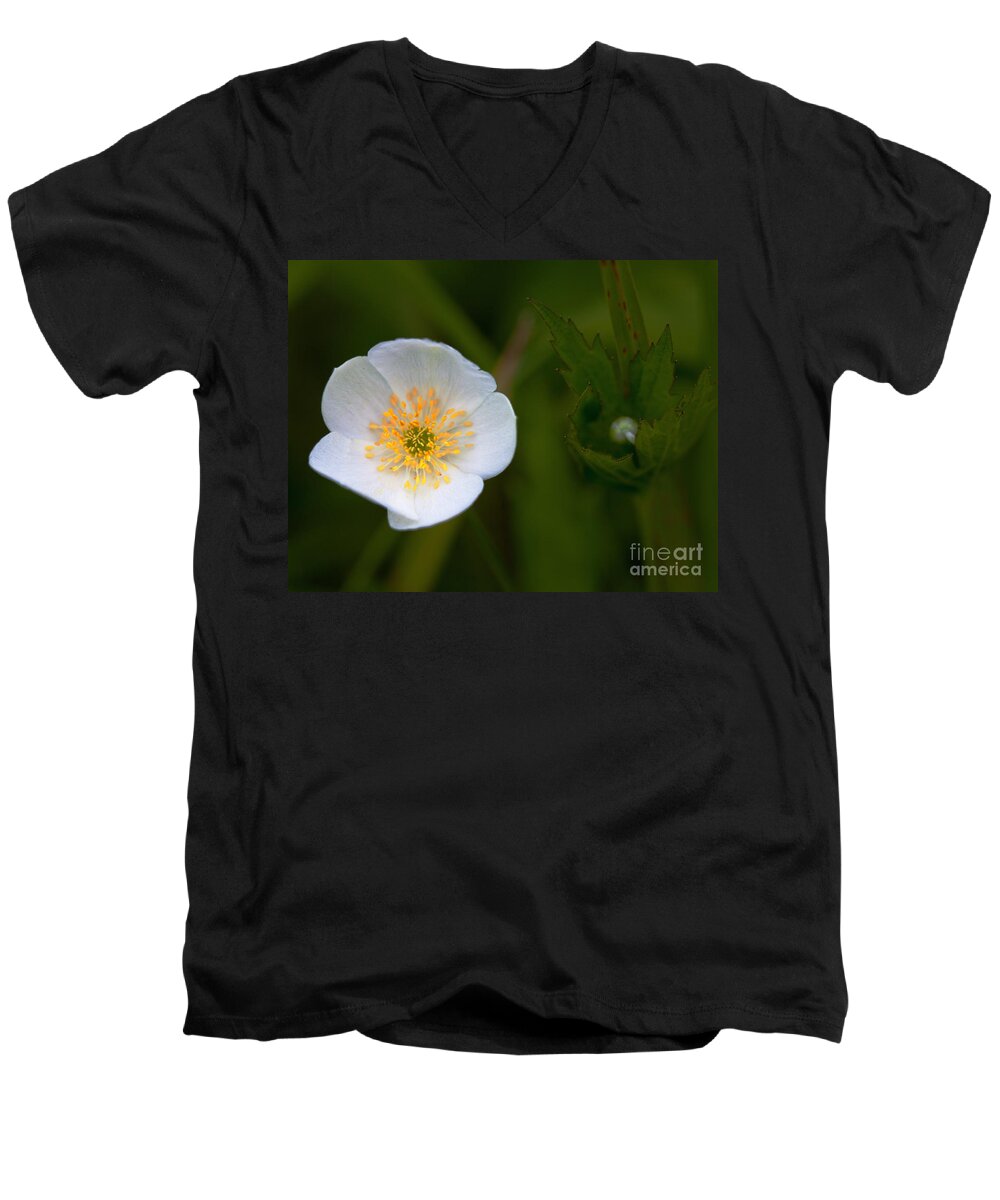 Agriculture Men's V-Neck T-Shirt featuring the photograph Hidden Tears by Roger Monahan