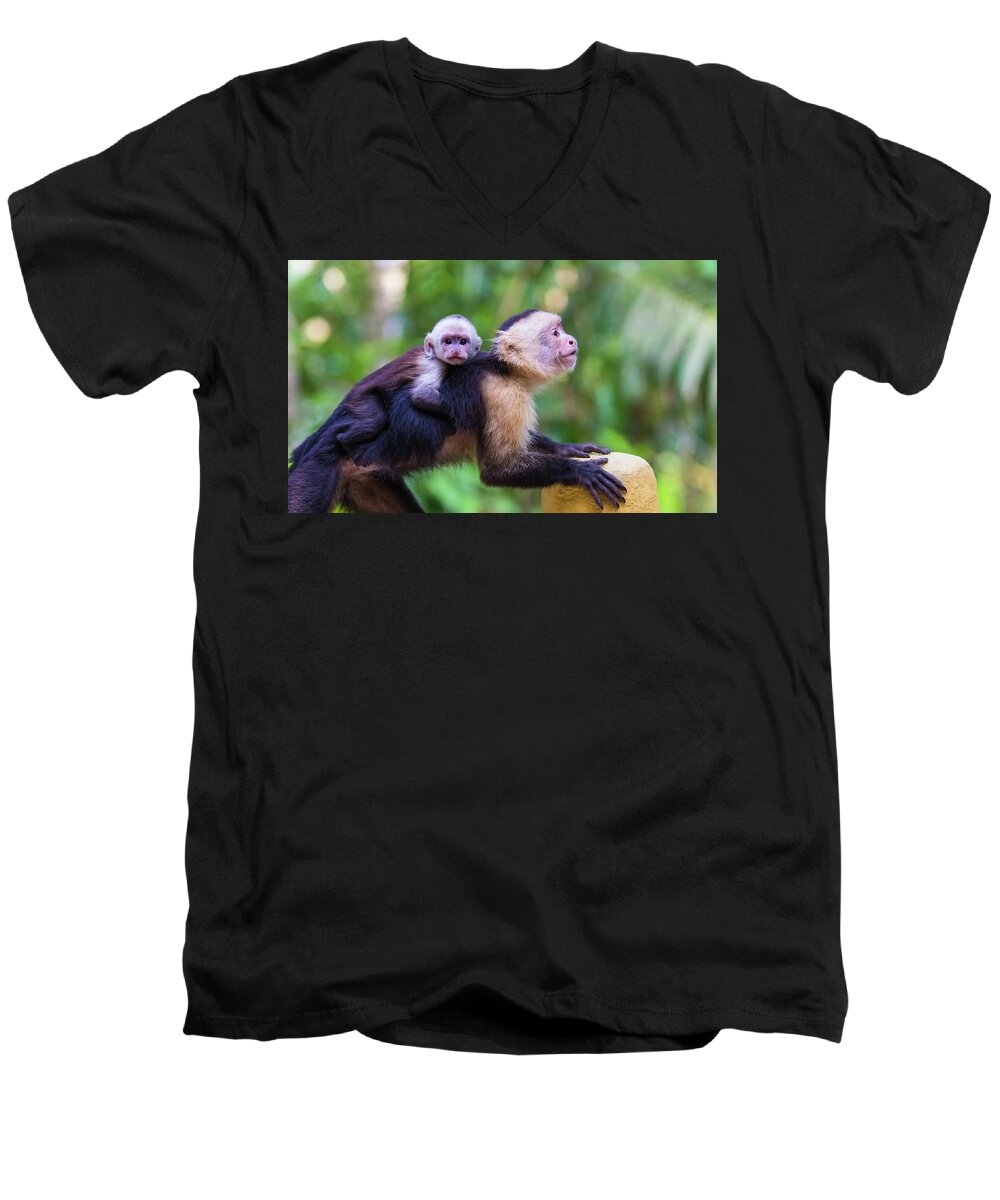 Costa Rica Men's V-Neck T-Shirt featuring the photograph Hitching a Ride by Dillon Kalkhurst