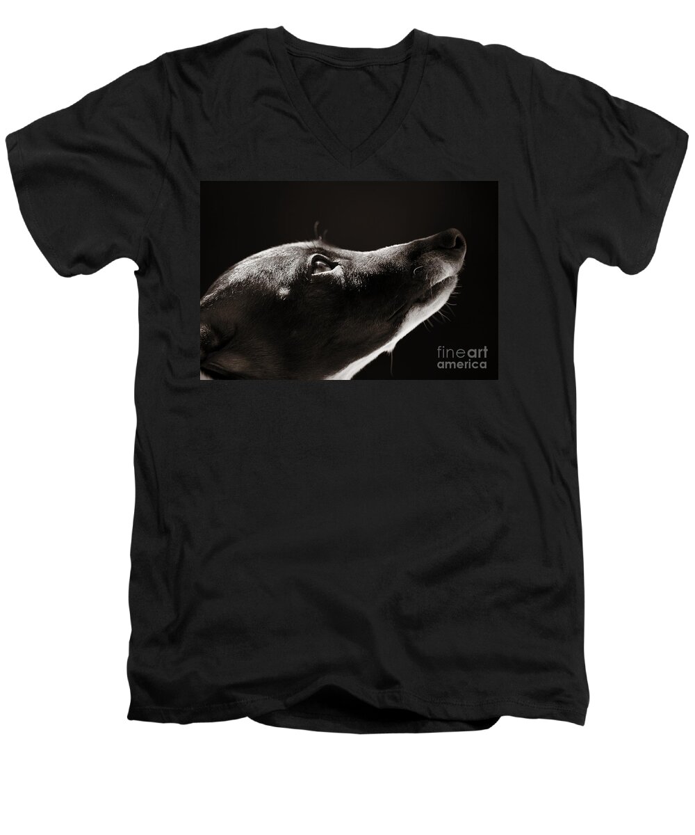 Peaceful Men's V-Neck T-Shirt featuring the photograph Hopeful by Angela Rath