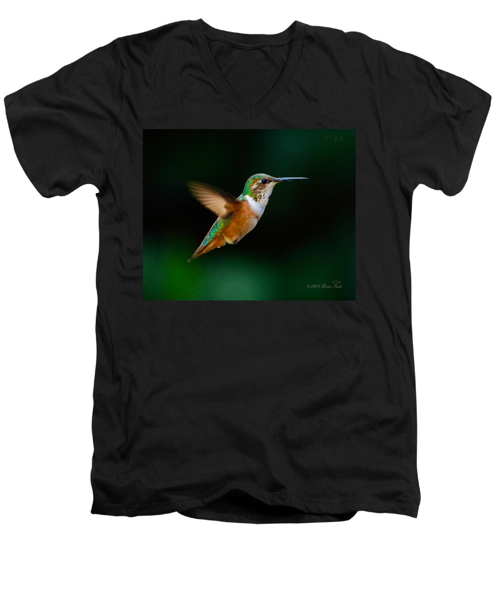 Allen's Hummingbird Men's V-Neck T-Shirt featuring the photograph Hovering Allen's Hummingbird by Brian Tada
