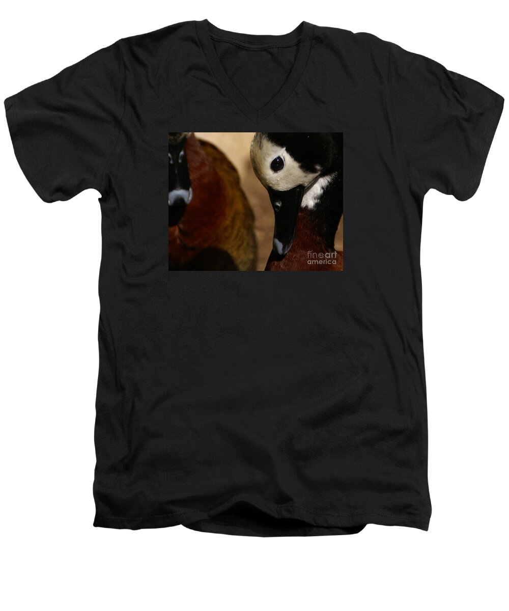 Ducks Men's V-Neck T-Shirt featuring the photograph Humble In Spirit by Linda Shafer