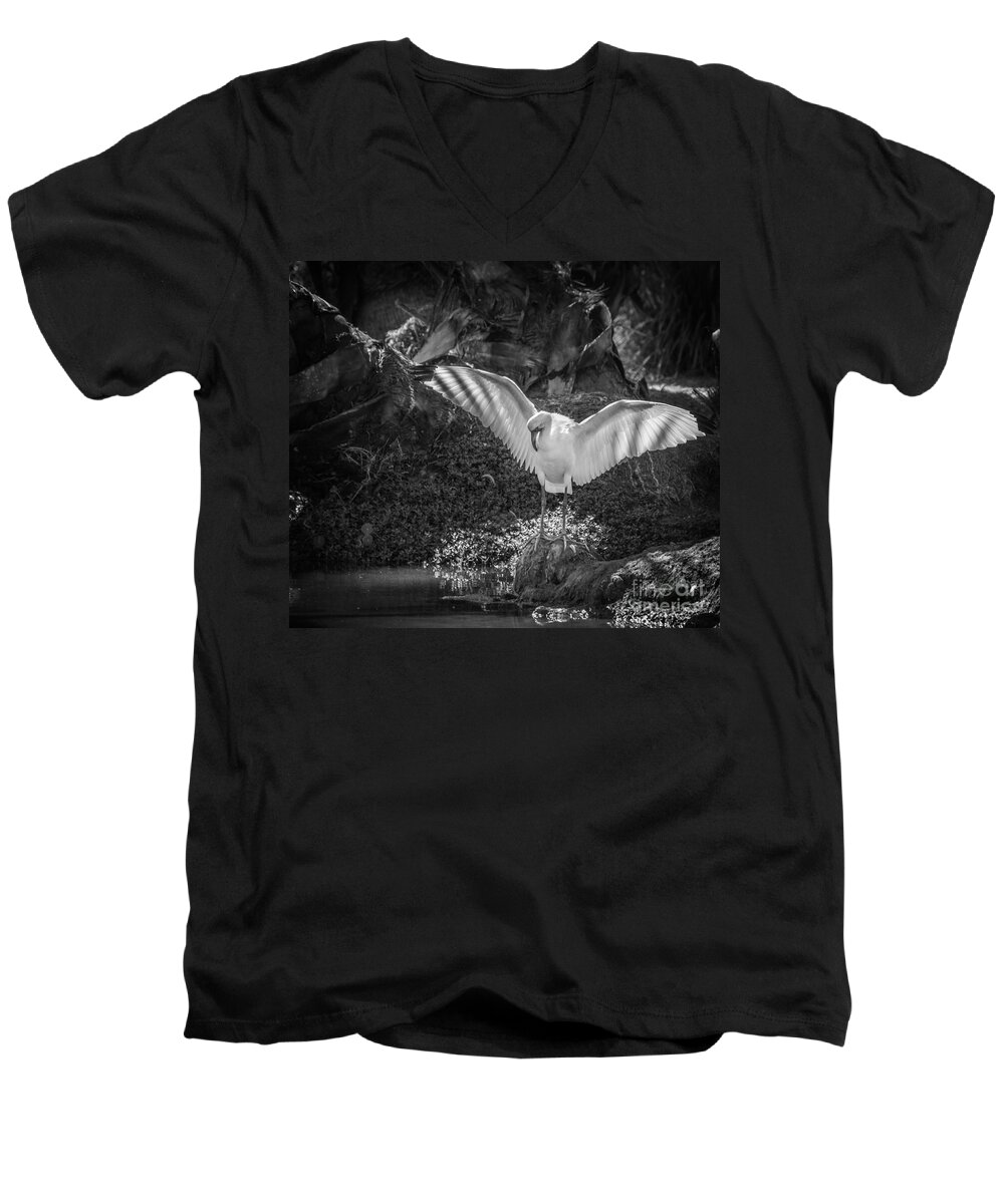 Jungle Gardens Men's V-Neck T-Shirt featuring the photograph Ibis Wings 2, Black and White by Liesl Walsh