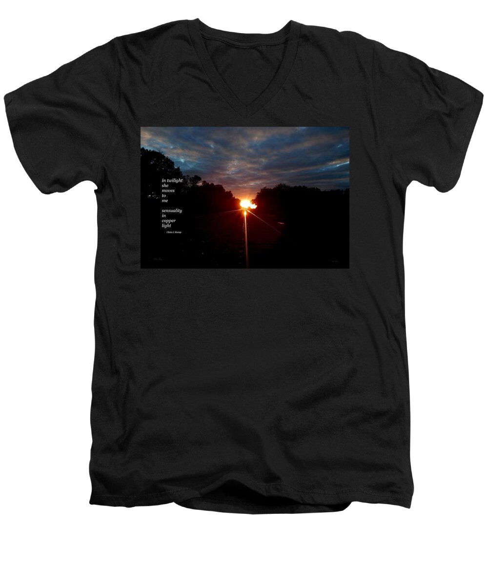 Summer Men's V-Neck T-Shirt featuring the photograph In Twilight by Wild Thing
