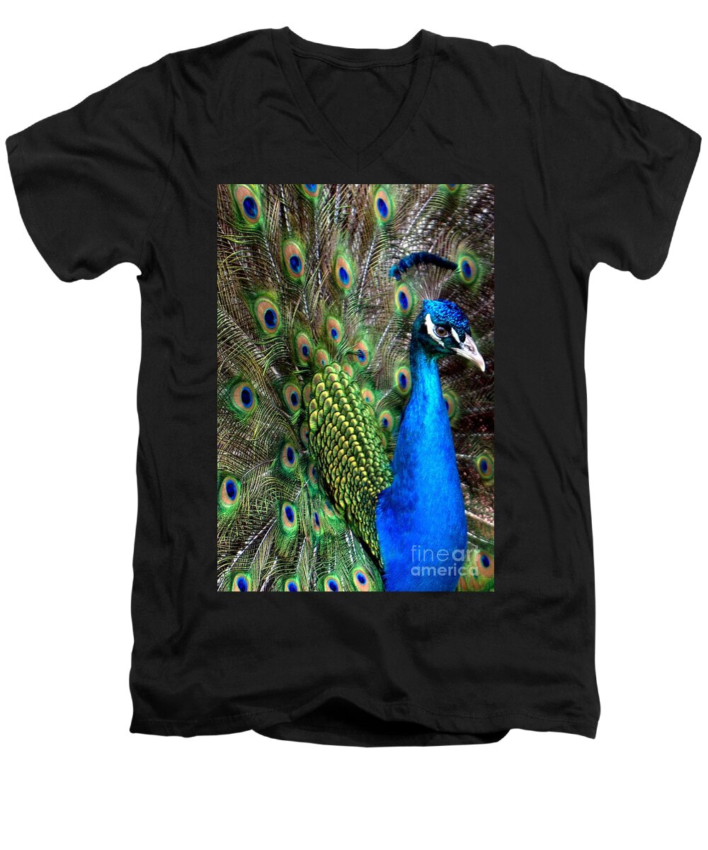 Indian Peacock Men's V-Neck T-Shirt featuring the photograph Indian Peacock II by Lilliana Mendez