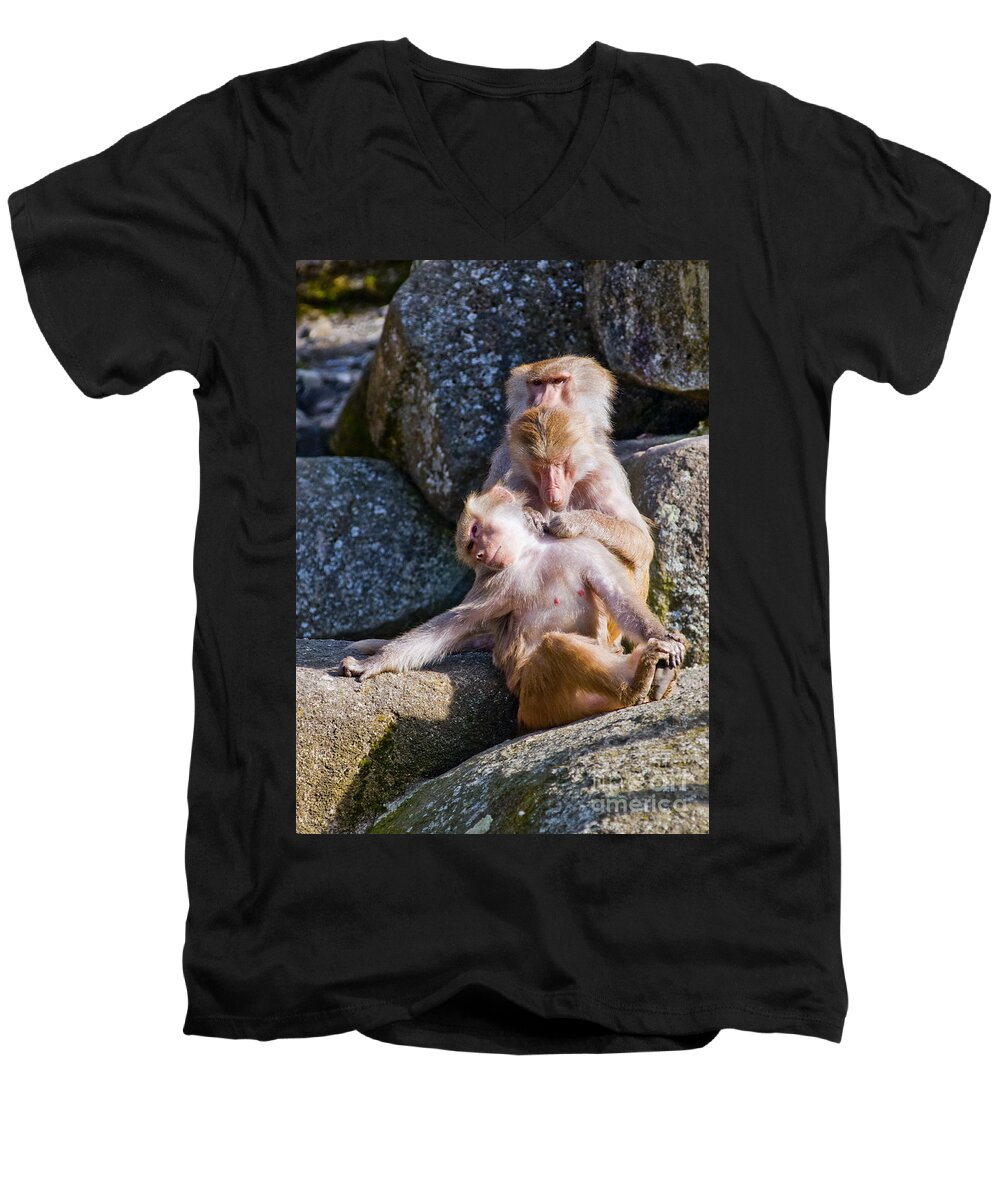 Africa Men's V-Neck T-Shirt featuring the photograph Its a hard life by Andrew Michael