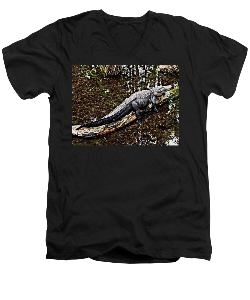 Florida Men's V-Neck T-Shirt featuring the photograph Just Hanging Out by Bob Johnson