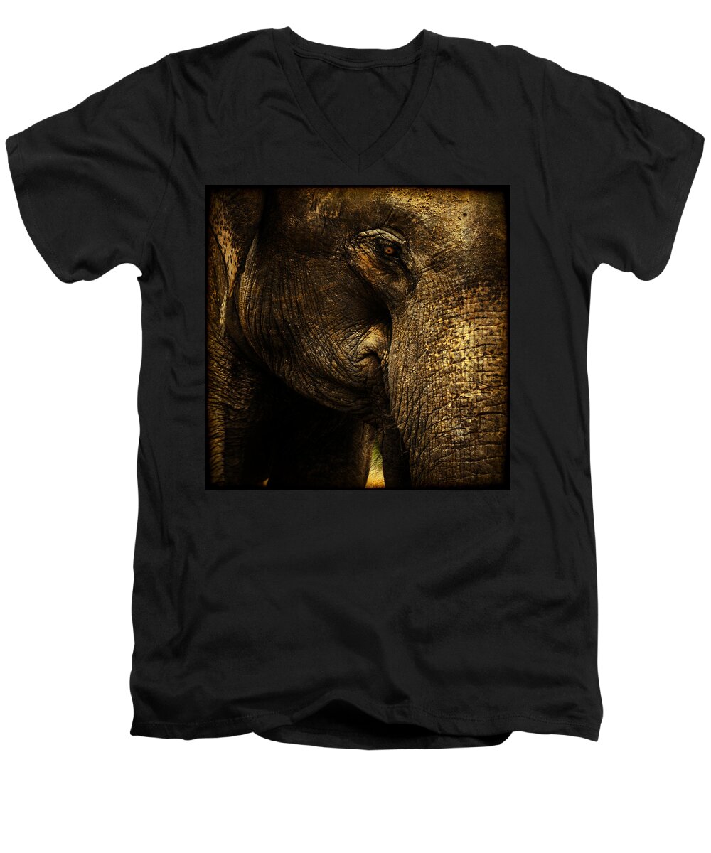 Elephant Men's V-Neck T-Shirt featuring the photograph Knowing by Andrew Paranavitana