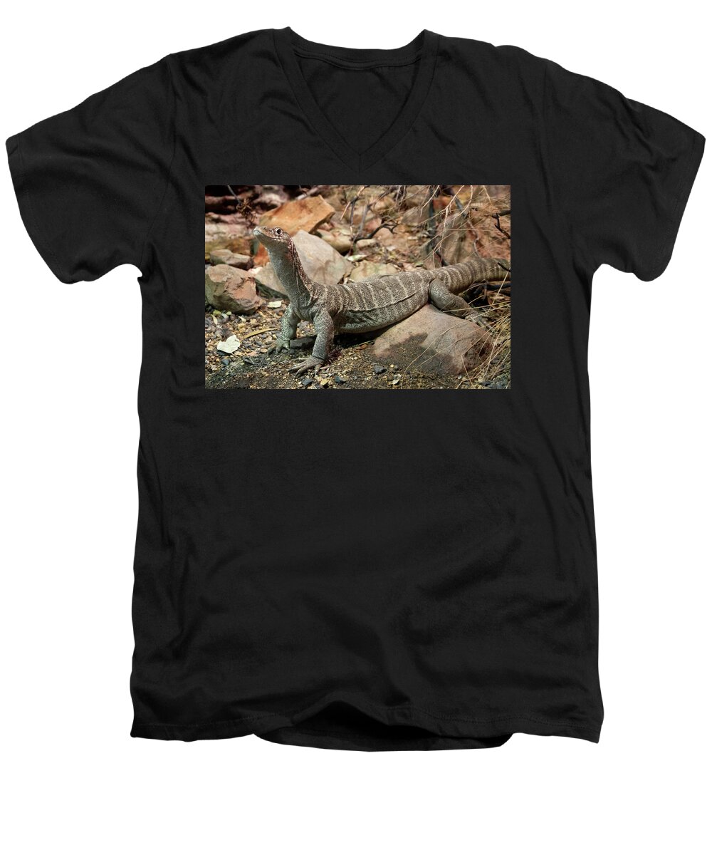 Lace Monitor Men's V-Neck T-Shirt featuring the photograph Lace Monitor by Miroslava Jurcik