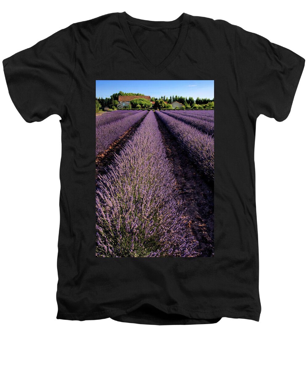 Lavender Men's V-Neck T-Shirt featuring the photograph Lavender Field Provence France by Dave Mills