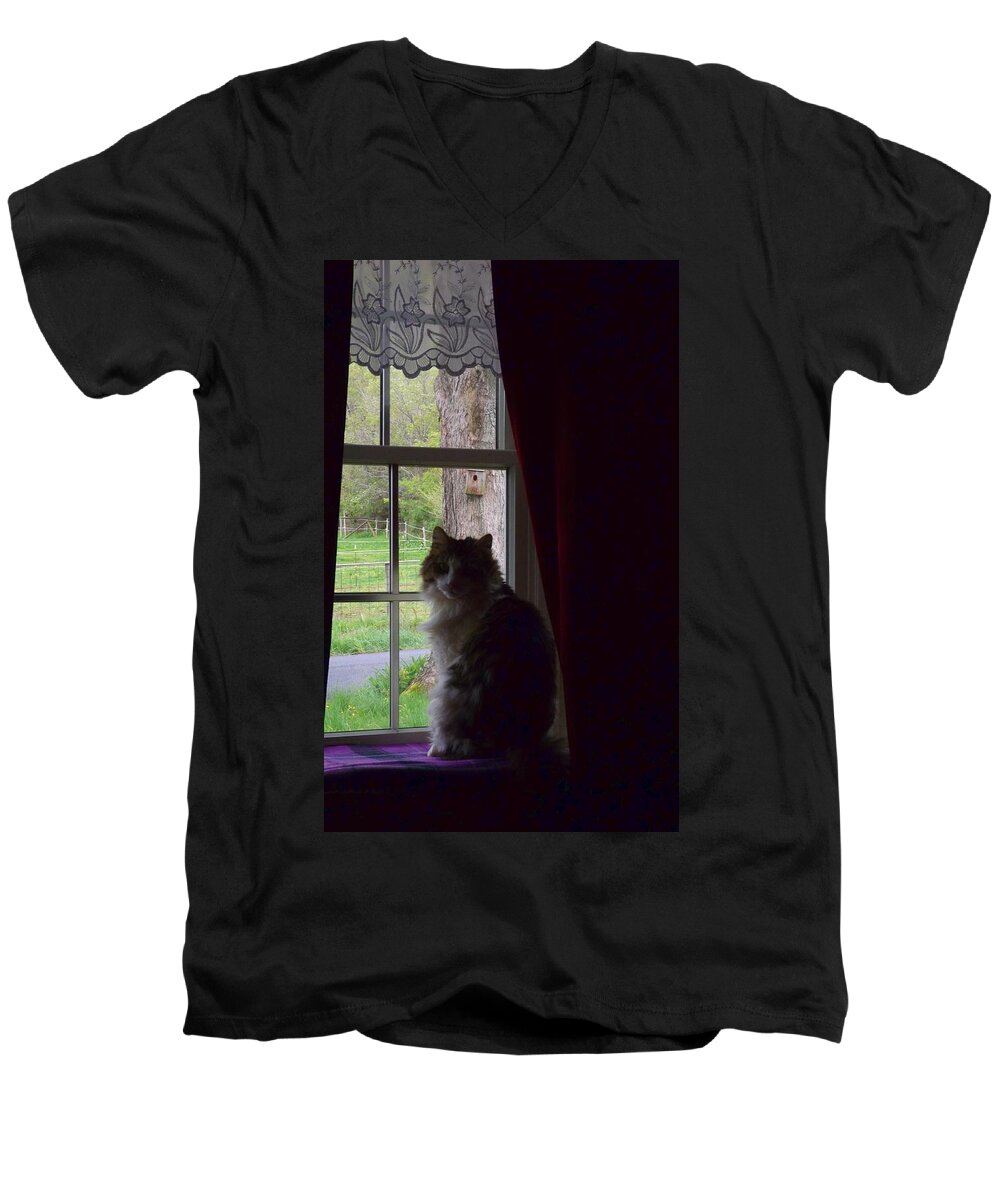 Leo Men's V-Neck T-Shirt featuring the photograph Leo in the Window by Danielle R T Haney