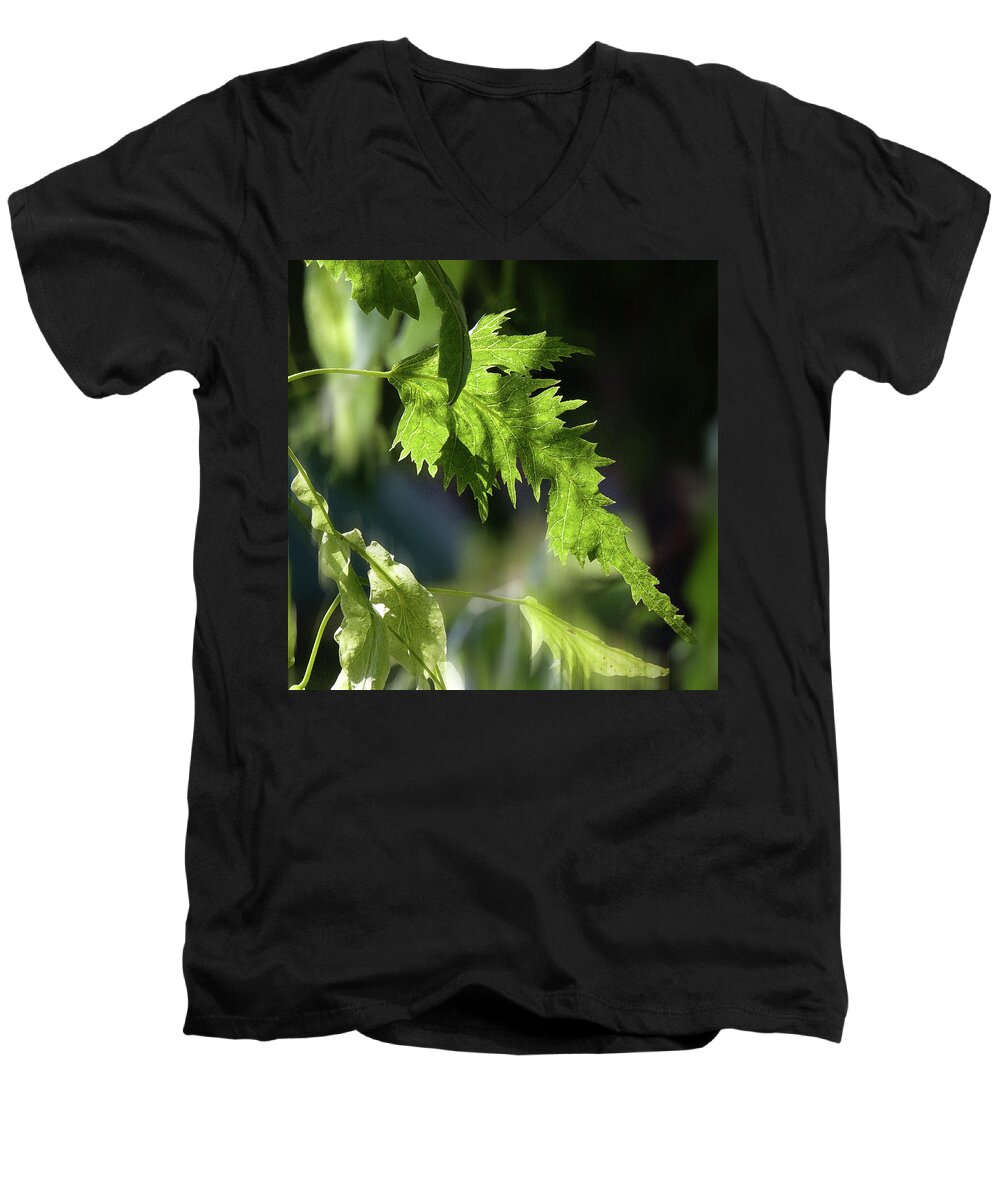 Linden Leaf Men's V-Neck T-Shirt featuring the photograph Linden Leaf - by Julie Weber