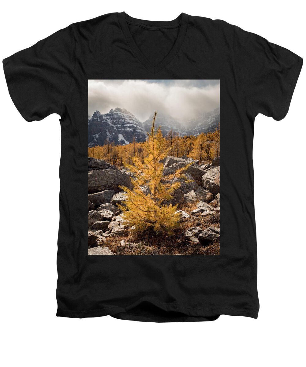 Larch Men's V-Neck T-Shirt featuring the photograph Little One by Emily Dickey