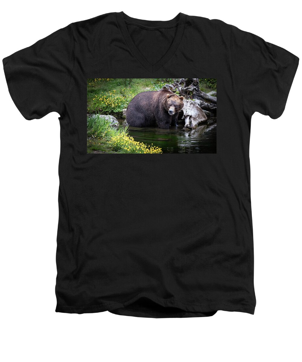 Bear Men's V-Neck T-Shirt featuring the photograph Looking for Dinner by Bruce Bonnett