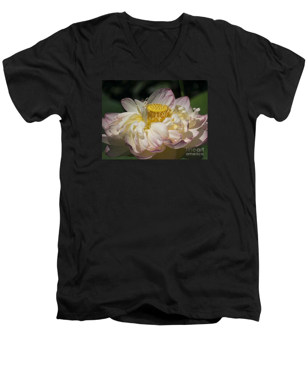 Flowers Men's V-Neck T-Shirt featuring the photograph Lotus 2015 by Lili Feinstein