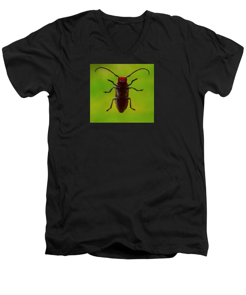 Milkweed Beetle Men's V-Neck T-Shirt featuring the photograph Love Bug by Danielle R T Haney