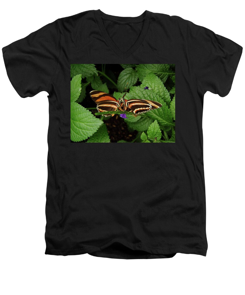 Butterflies Men's V-Neck T-Shirt featuring the photograph Love - Butterflies Kissing by Steven Myers