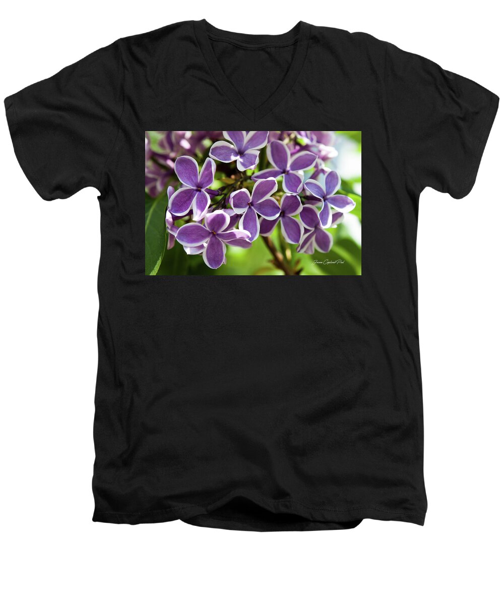 Purple Men's V-Neck T-Shirt featuring the photograph Lovely Lilacs by Joann Copeland-Paul
