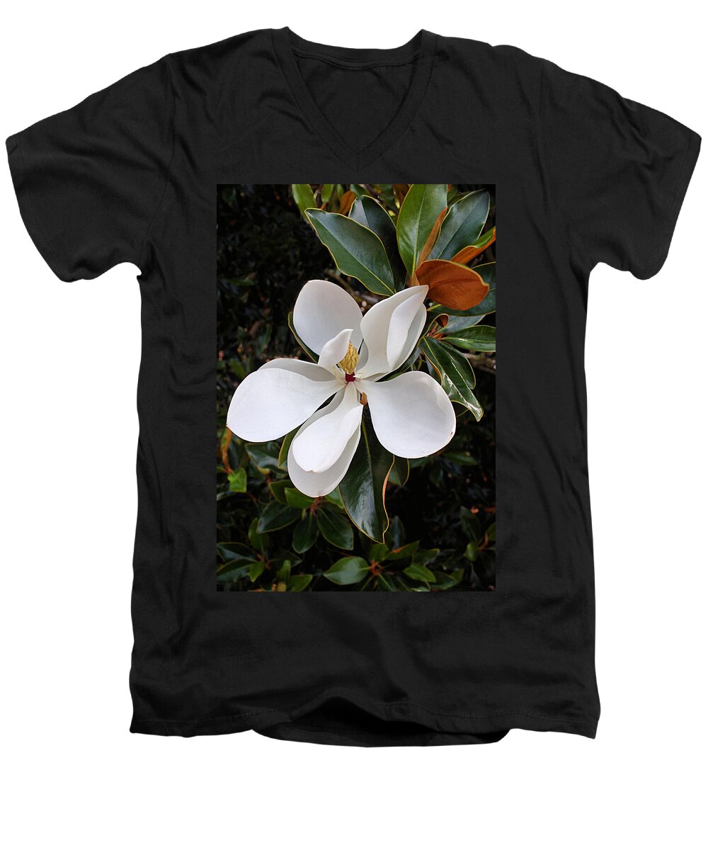 Magnolia Men's V-Neck T-Shirt featuring the photograph Magnolia Blossom by Kristin Elmquist