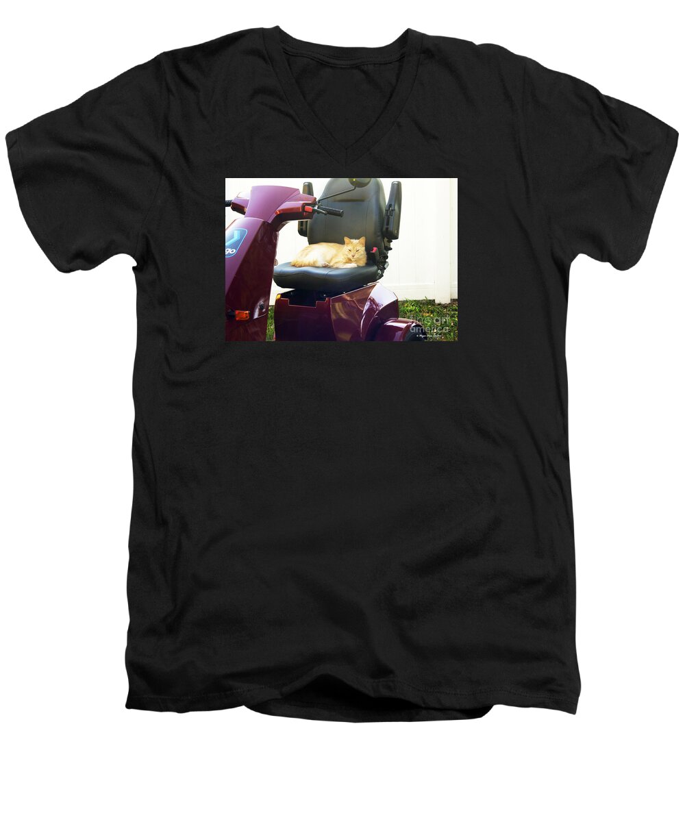 Cat Men's V-Neck T-Shirt featuring the photograph MeGo and Erick 2 by Megan Dirsa-DuBois