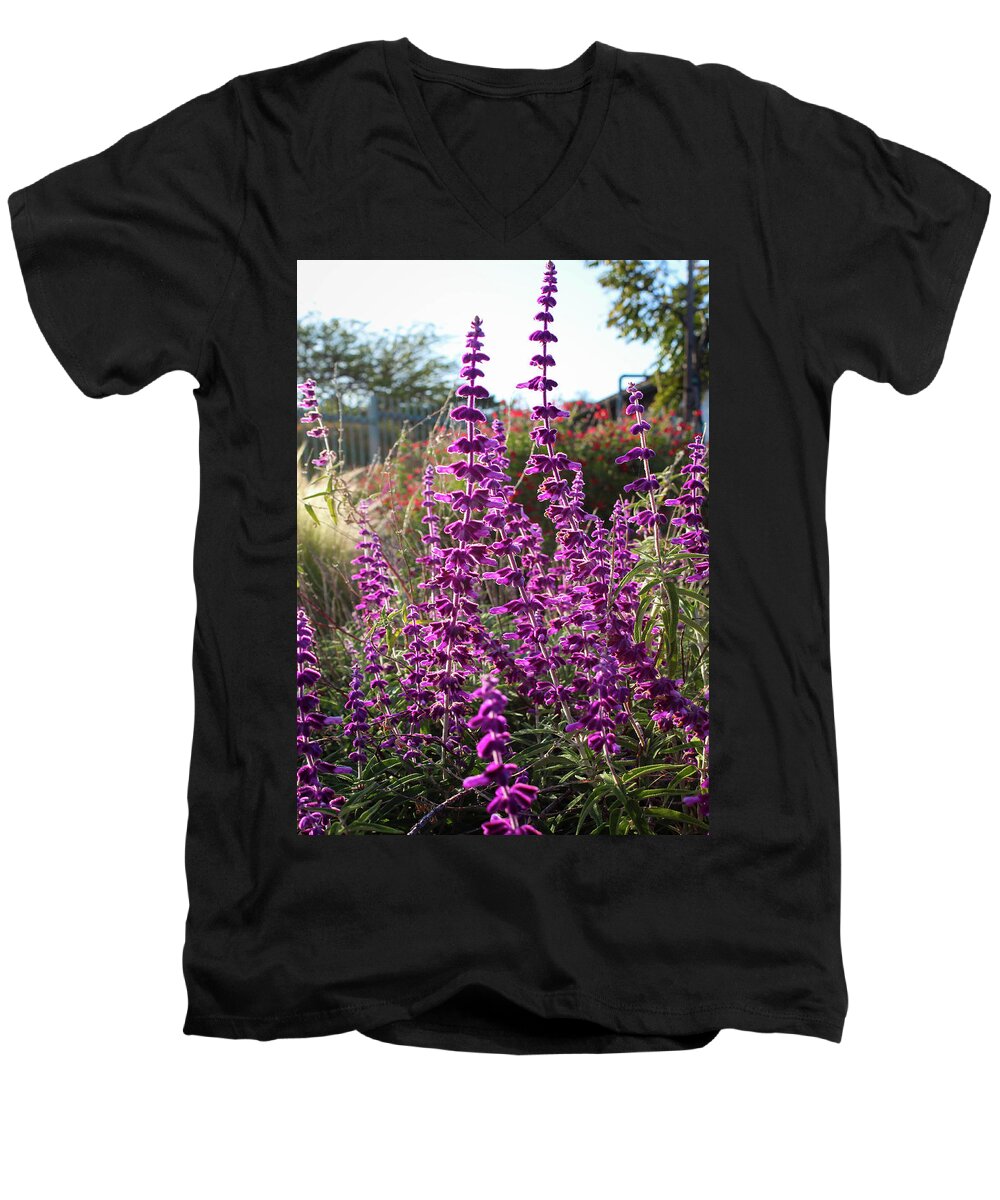  Men's V-Neck T-Shirt featuring the photograph Mexican Sage by Alison Frank