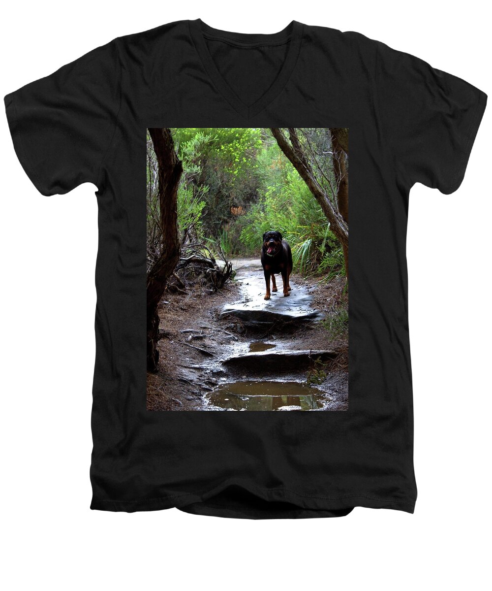 Misty Men's V-Neck T-Shirt featuring the photograph Misty I Will Always Remember Your Smile by Miroslava Jurcik