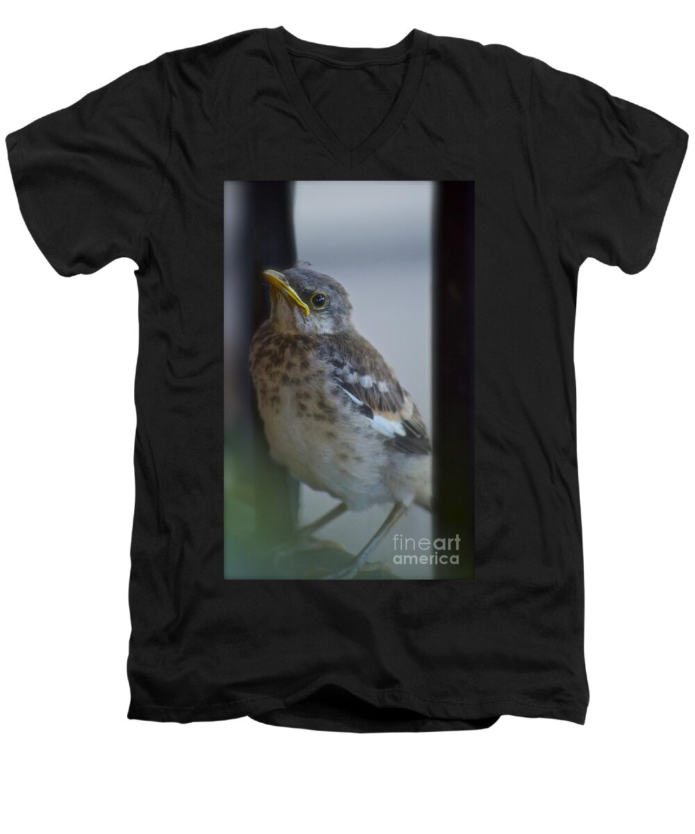 Mockingbird Men's V-Neck T-Shirt featuring the photograph Mockingbird Chick by Gwyn Newcombe