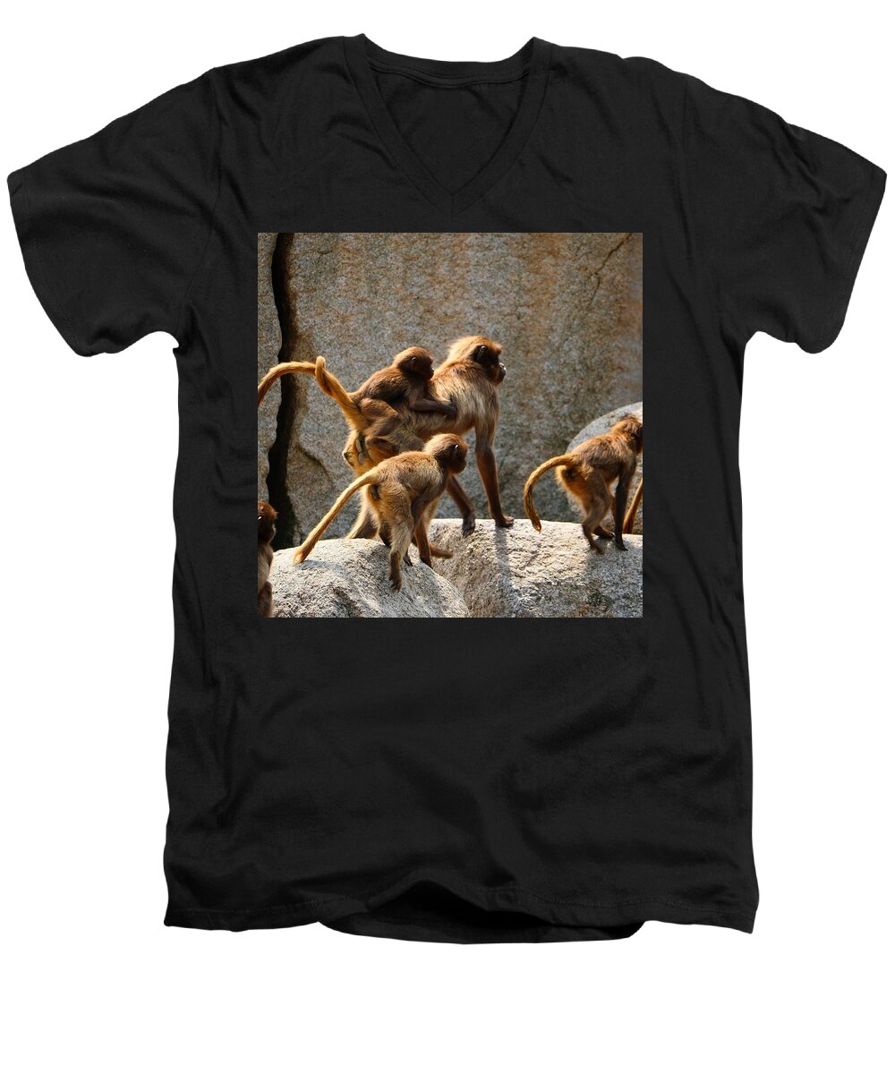 Animal Men's V-Neck T-Shirt featuring the photograph Monkey Family by Dennis Maier