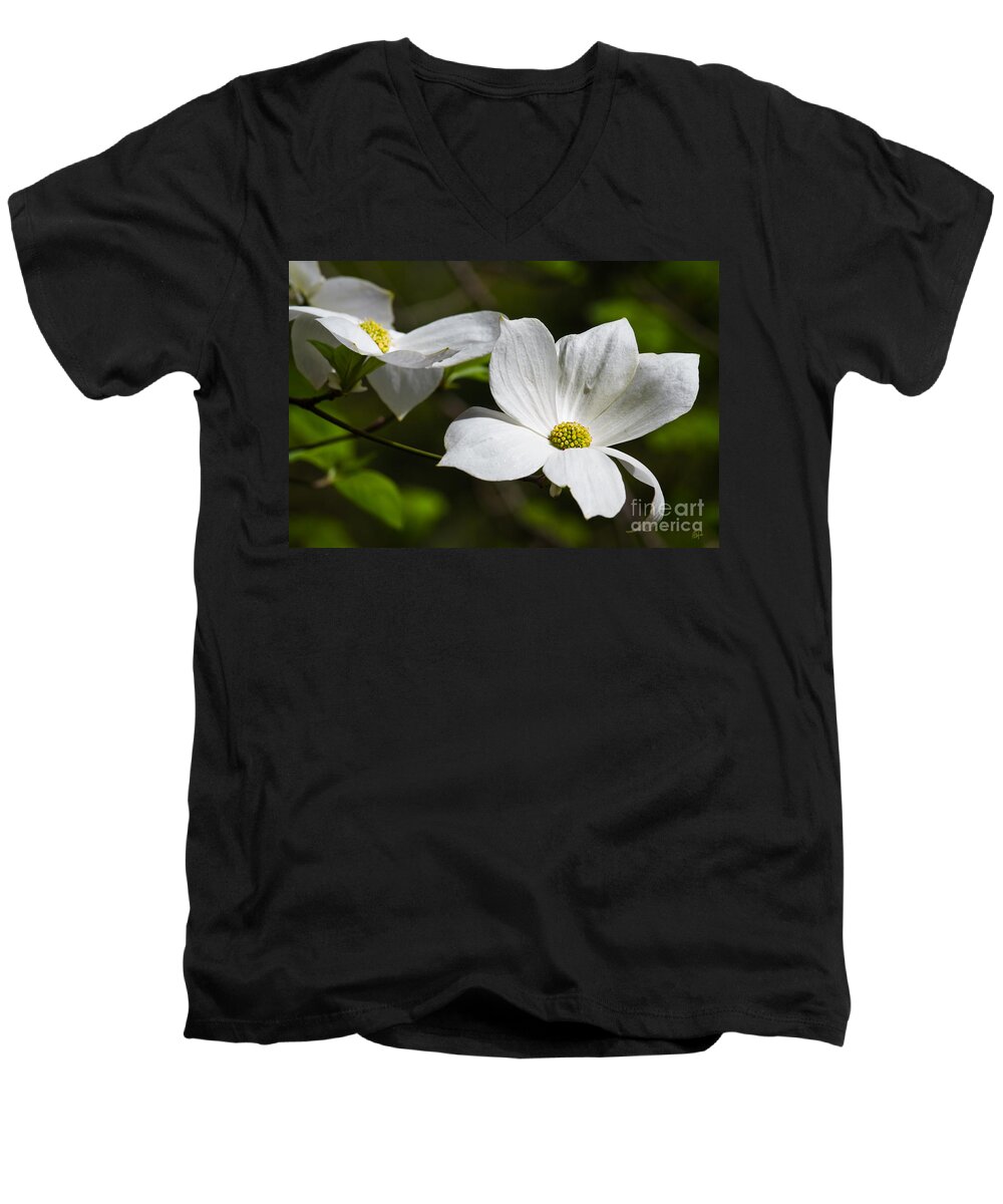 Yosemite Men's V-Neck T-Shirt featuring the photograph Morning Dogwoods 2 by Anthony Michael Bonafede