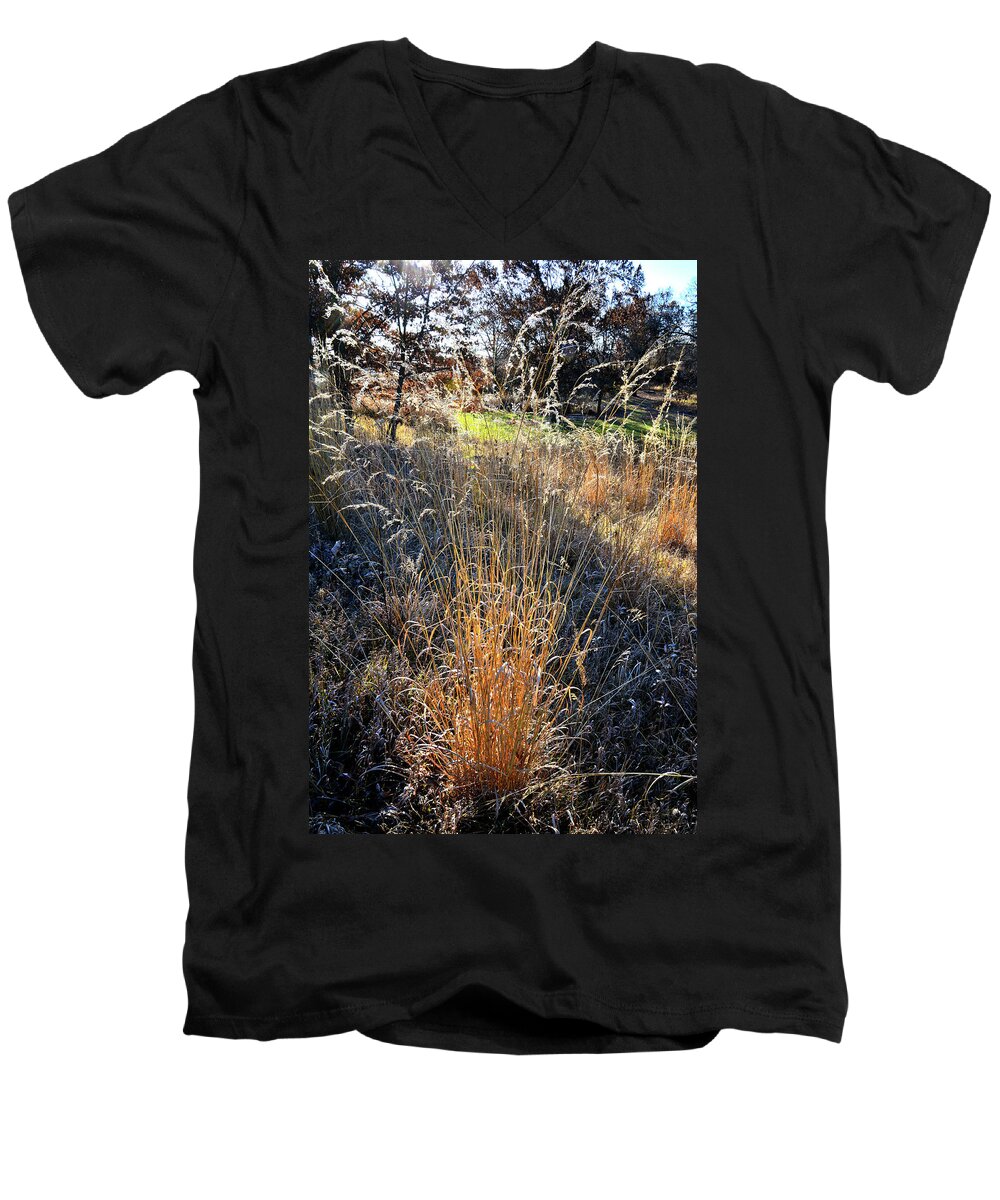 Glacial Park Men's V-Neck T-Shirt featuring the photograph Morning Sun Backlights Fall Grasses in Glacial Park by Ray Mathis