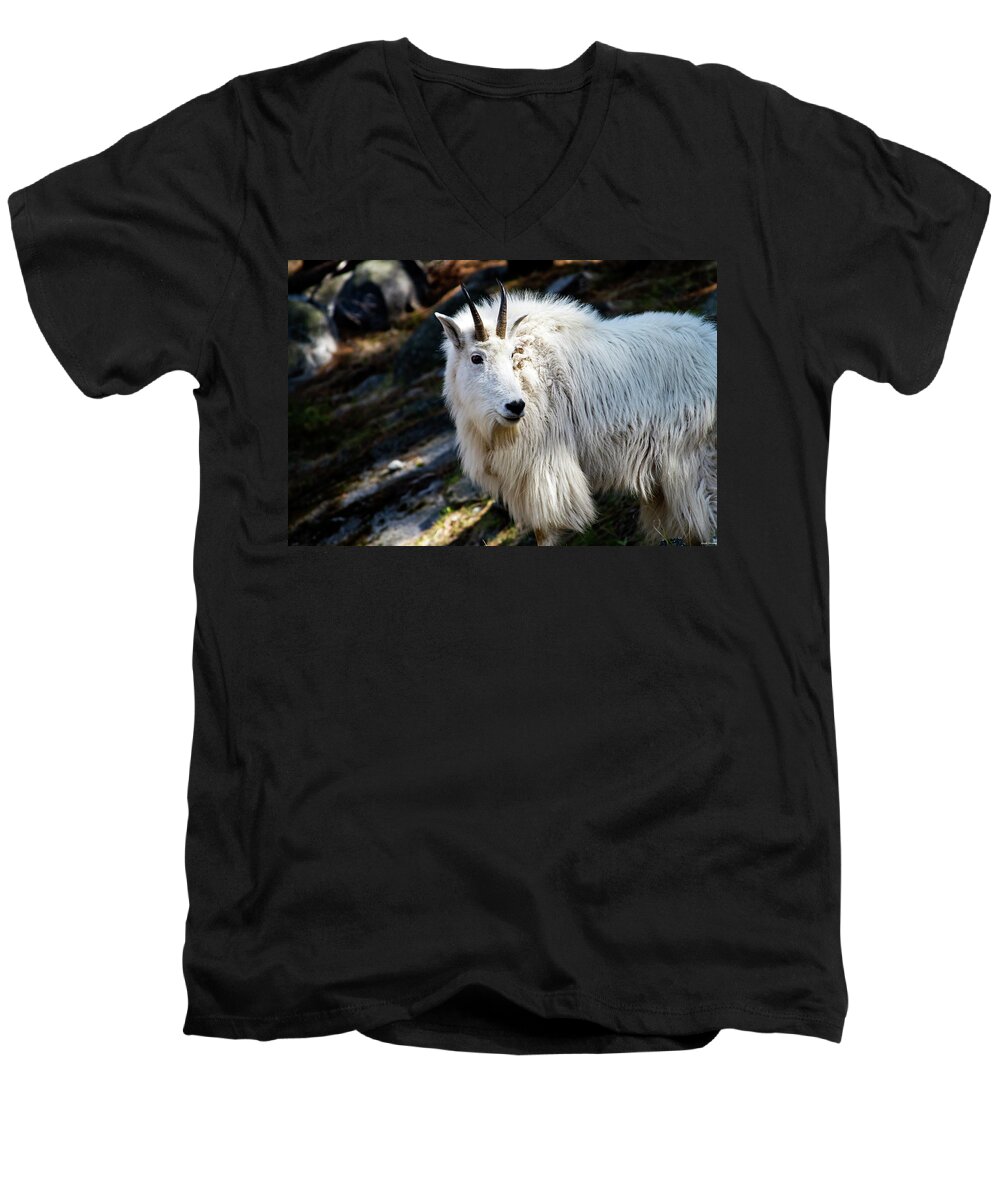 Mountain Goat Men's V-Neck T-Shirt featuring the photograph Mountain Goat by Joseph Noonan