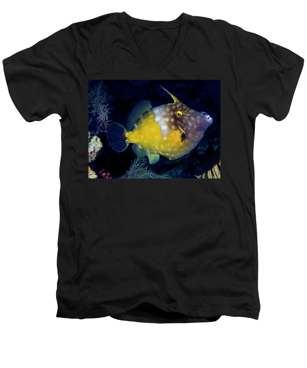Jean Noren Men's V-Neck T-Shirt featuring the photograph Orange Filefish by Jean Noren