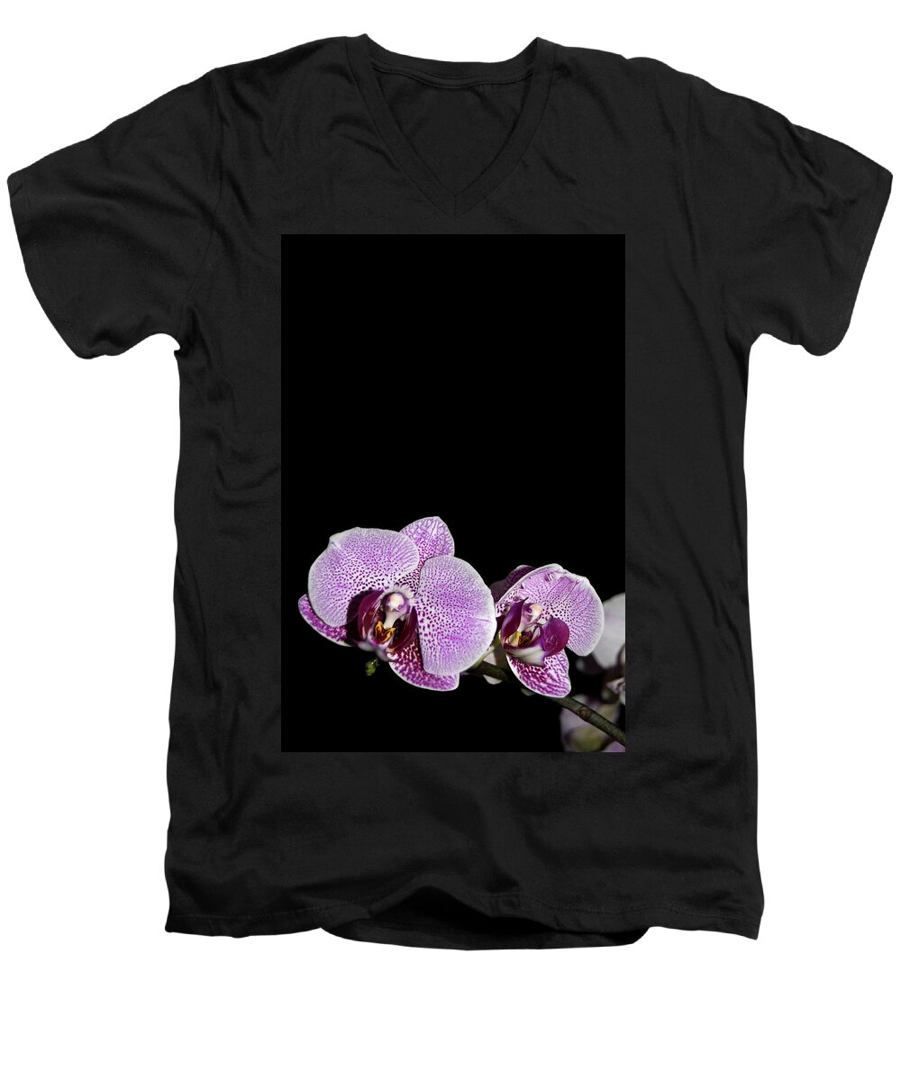 Orchid Men's V-Neck T-Shirt featuring the photograph Orchid Blooms by Amber Flowers