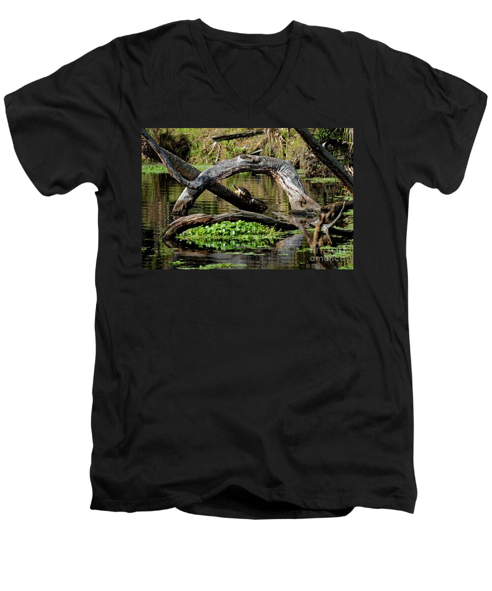 Painted Turtles Men's V-Neck T-Shirt featuring the photograph Painted Turtles by Paul Mashburn