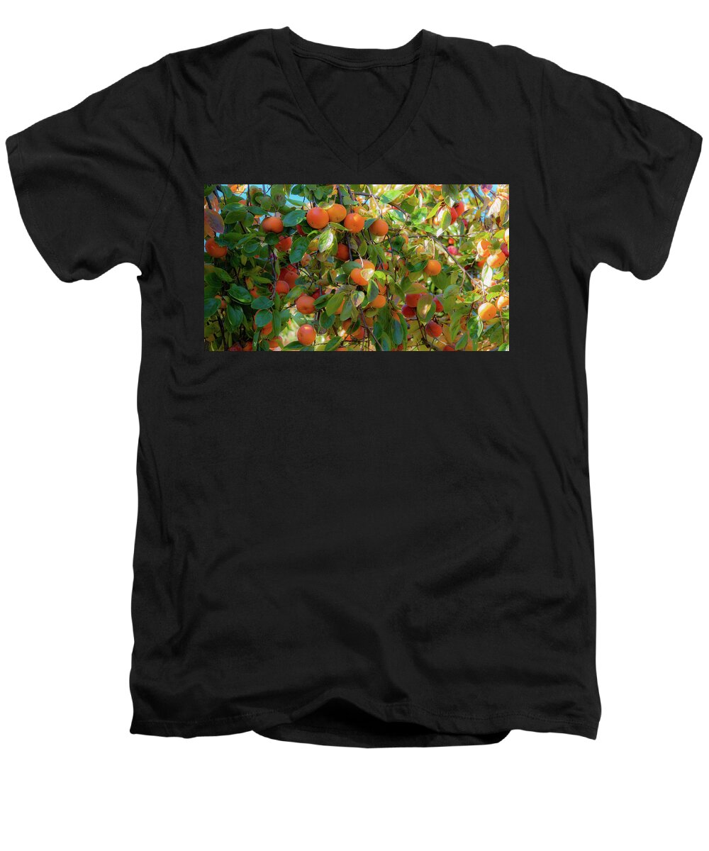 Books Men's V-Neck T-Shirt featuring the photograph Paradise for Persimmons by Jeremy Holton
