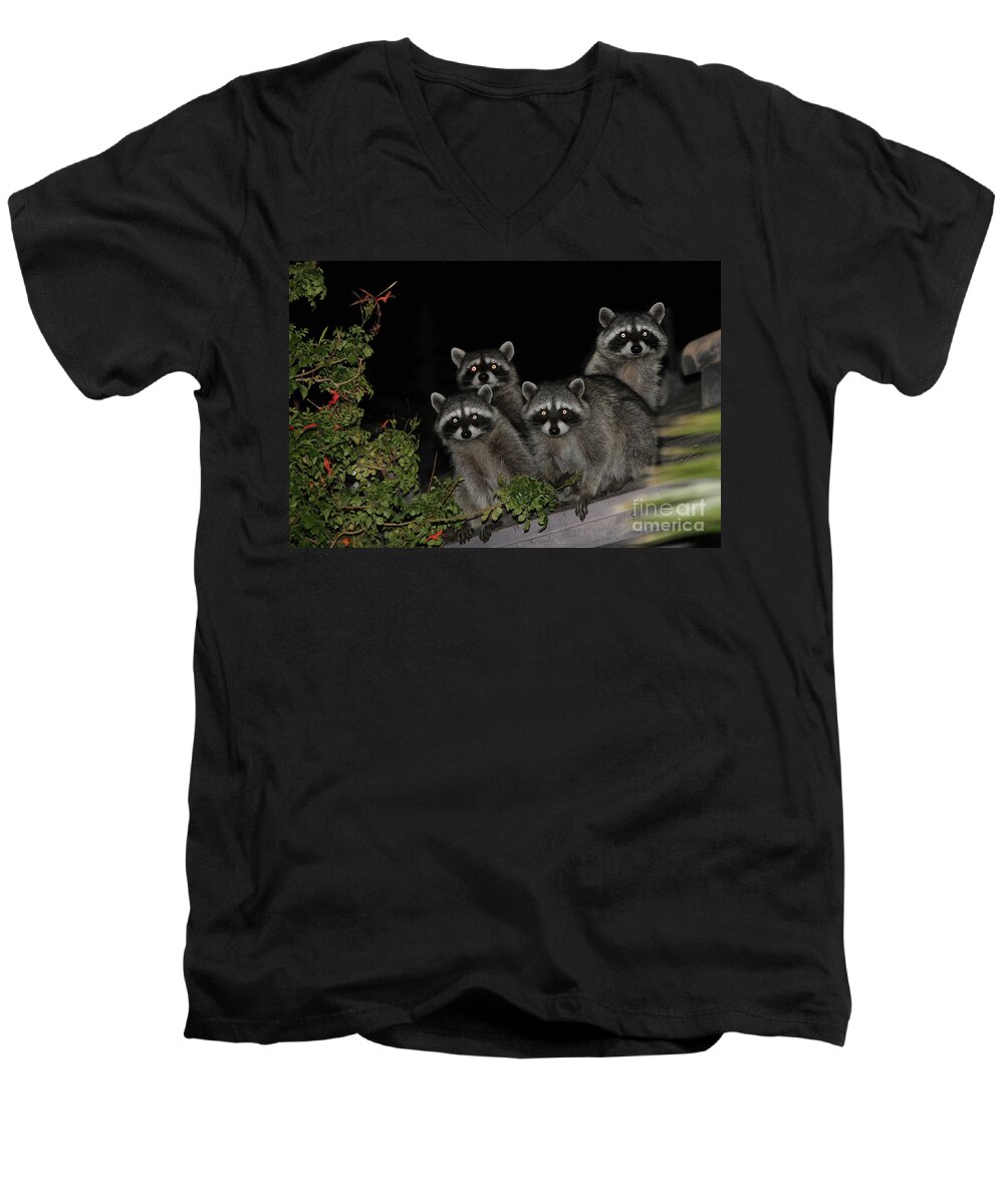Nature Men's V-Neck T-Shirt featuring the photograph Party of Five on the Roof Top by Nina Prommer