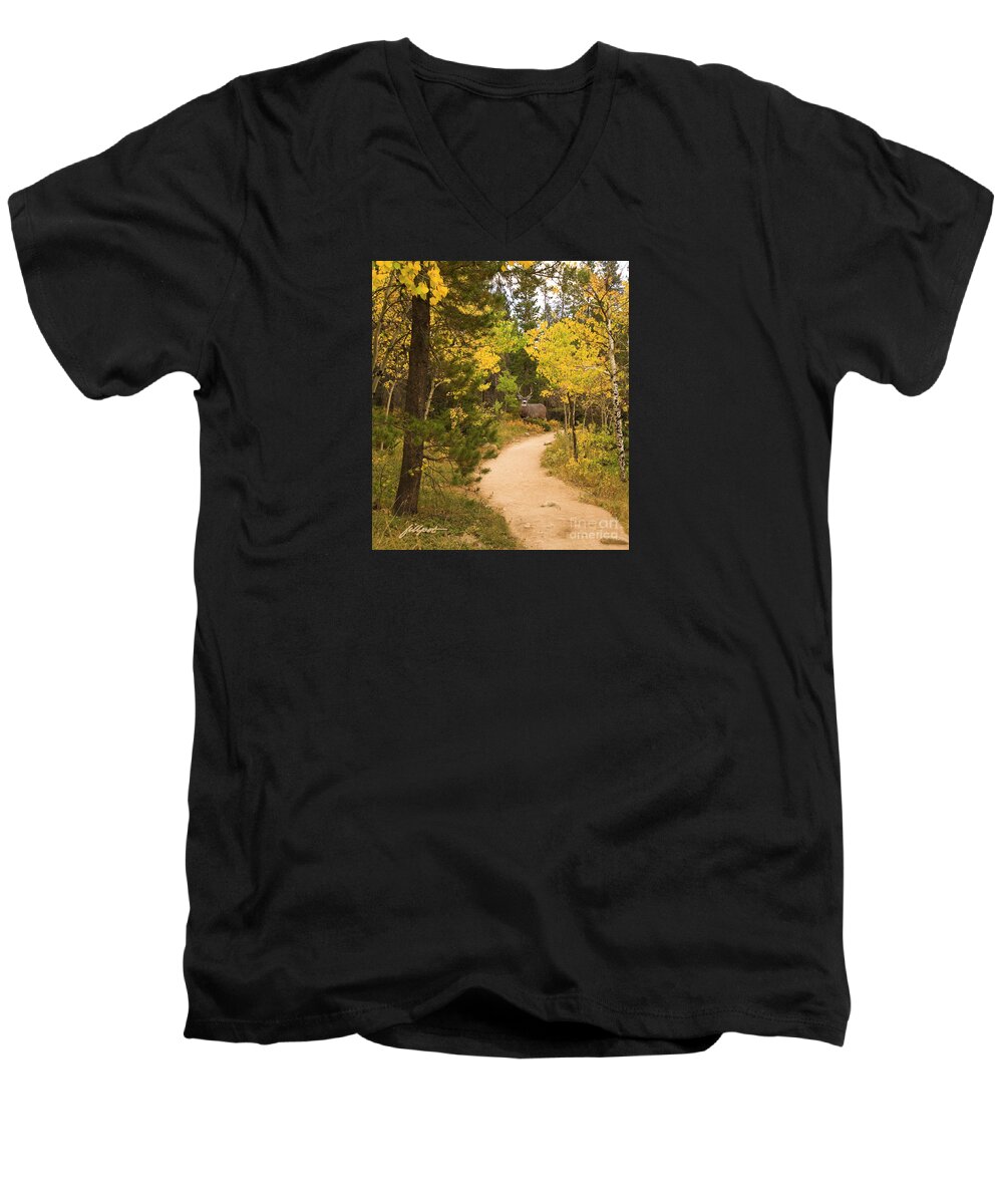 Fall Aspens Men's V-Neck T-Shirt featuring the photograph Peaceful Walk by Bon and Jim Fillpot