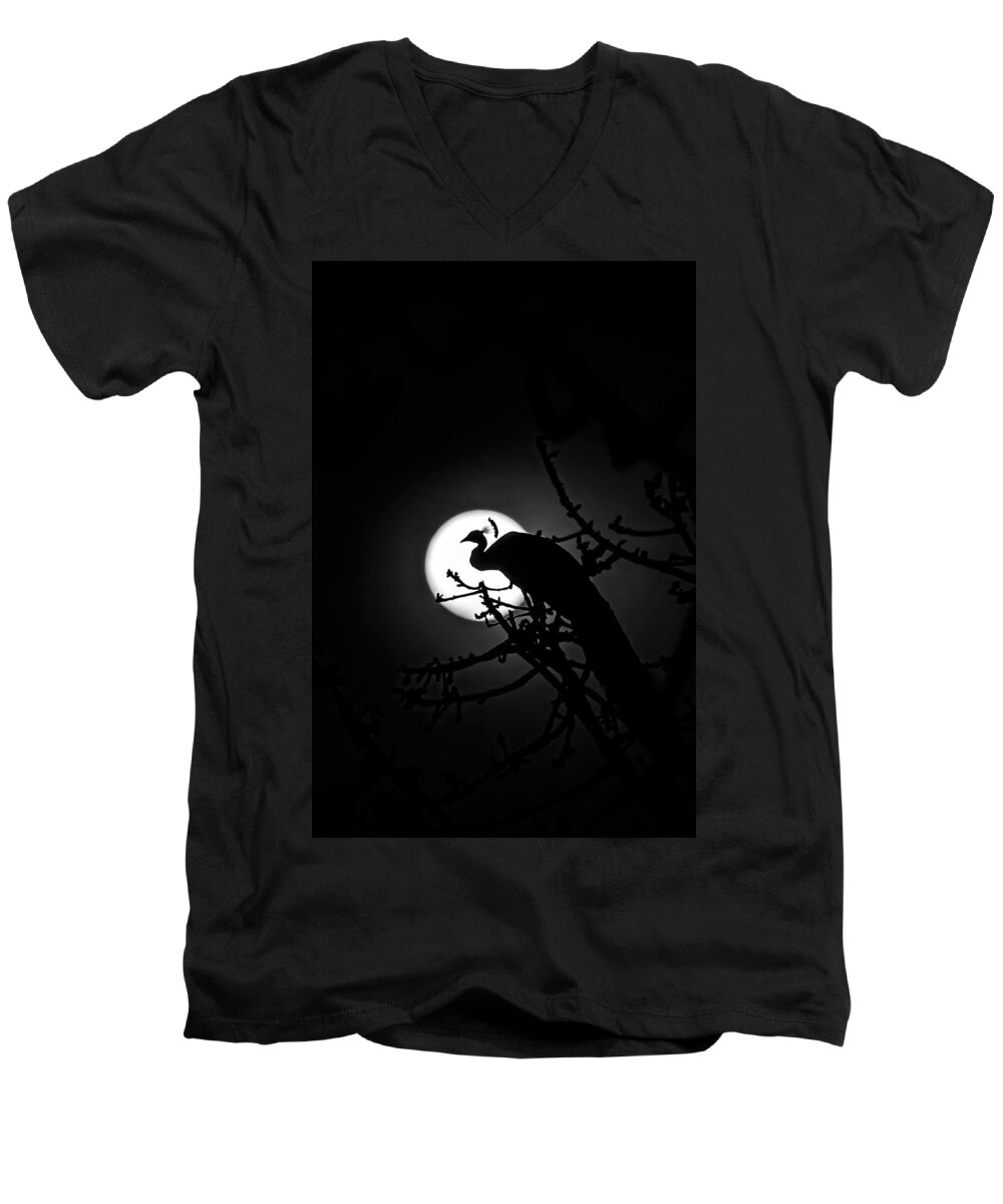 Peacock Men's V-Neck T-Shirt featuring the photograph Peacock roosting against full moon. by Ramabhadran Thirupattur