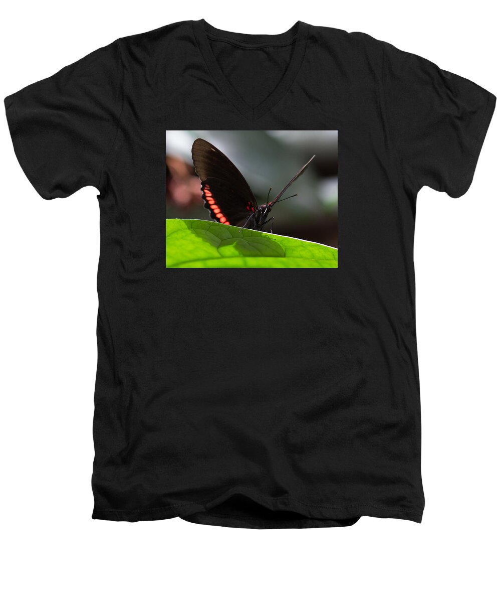 Brookside Gardens Men's V-Neck T-Shirt featuring the photograph Peek-a-Boo 8x10 by Leah Palmer