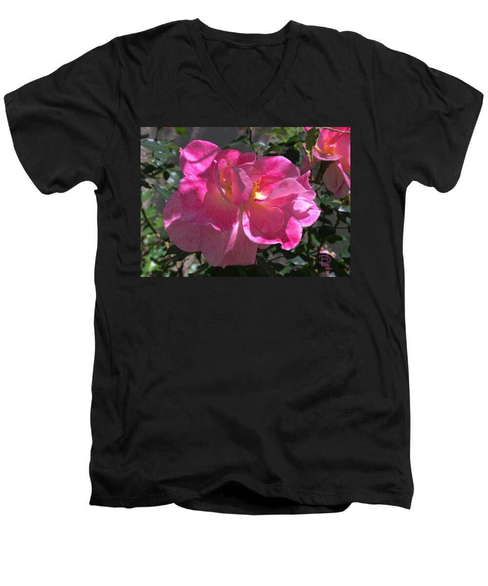 Pink Passion Men's V-Neck T-Shirt featuring the photograph Pink Passion by Daniel Hebard