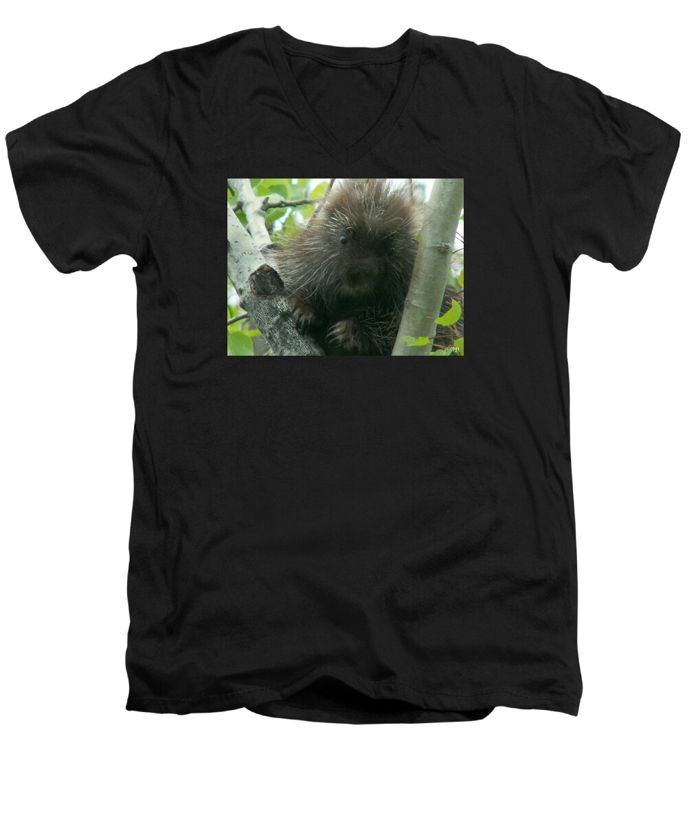 Porcupine Men's V-Neck T-Shirt featuring the photograph Porcupine Tree by John Meader