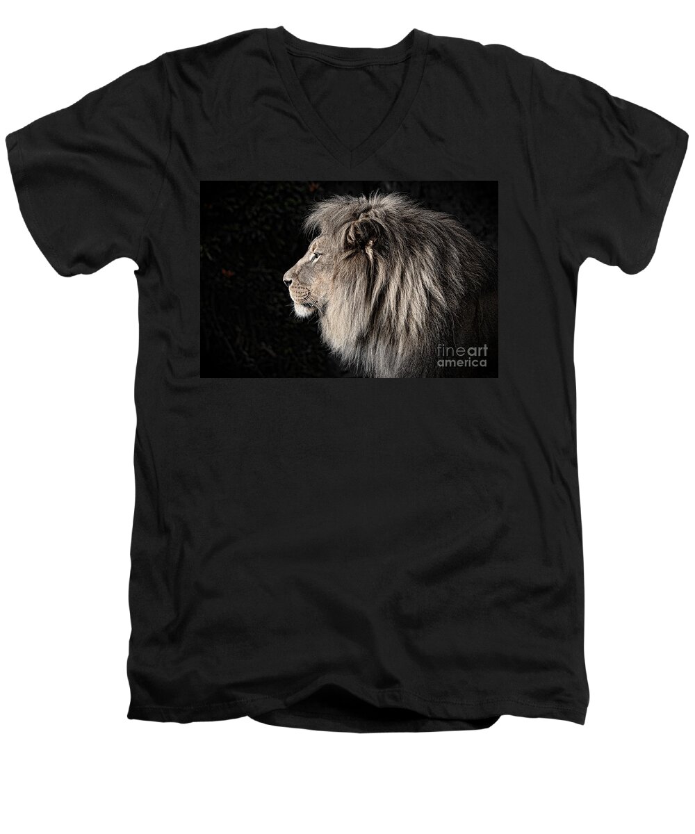 Lion Men's V-Neck T-Shirt featuring the photograph Portrait of the King of the Jungle II by Jim Fitzpatrick