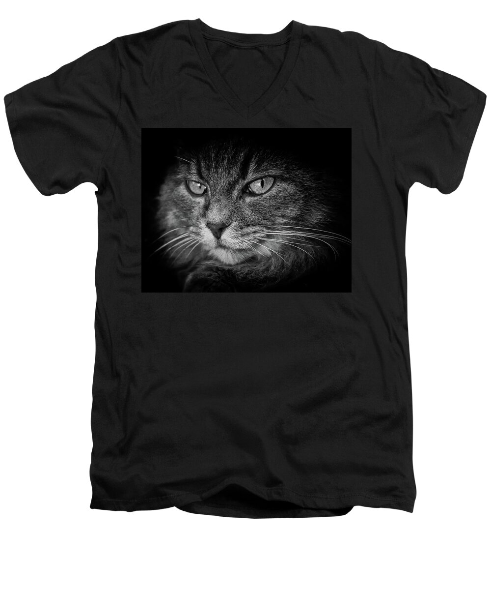 Cat Men's V-Neck T-Shirt featuring the photograph Predator by Alessandro Della Pietra