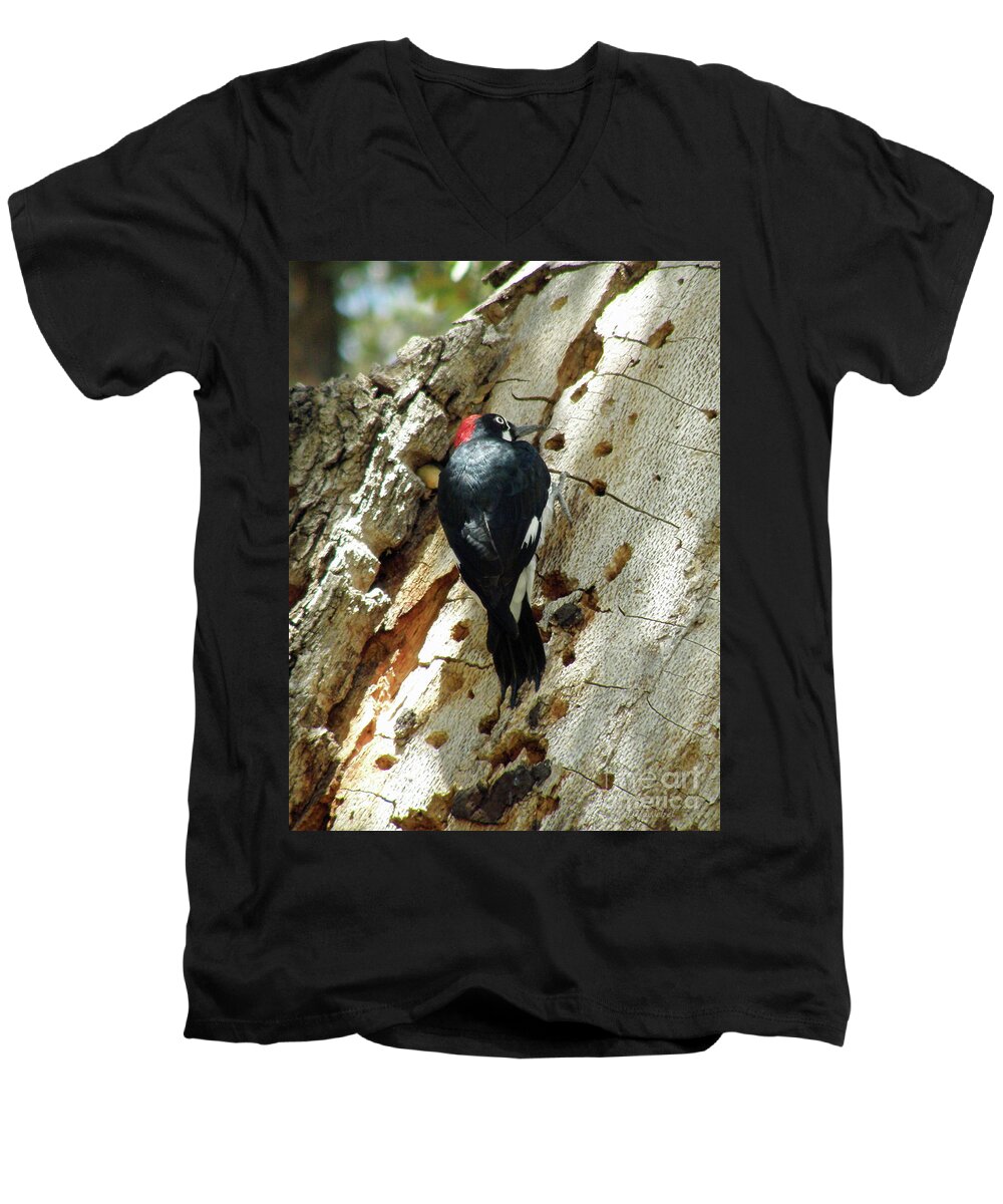 Woodpecker Men's V-Neck T-Shirt featuring the photograph Preparing for Winter by Debby Pueschel