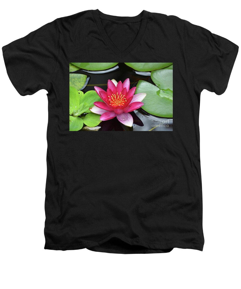 Water-lily Men's V-Neck T-Shirt featuring the photograph Pretty Red Water Lily Flowering in a Water Garden by DejaVu Designs
