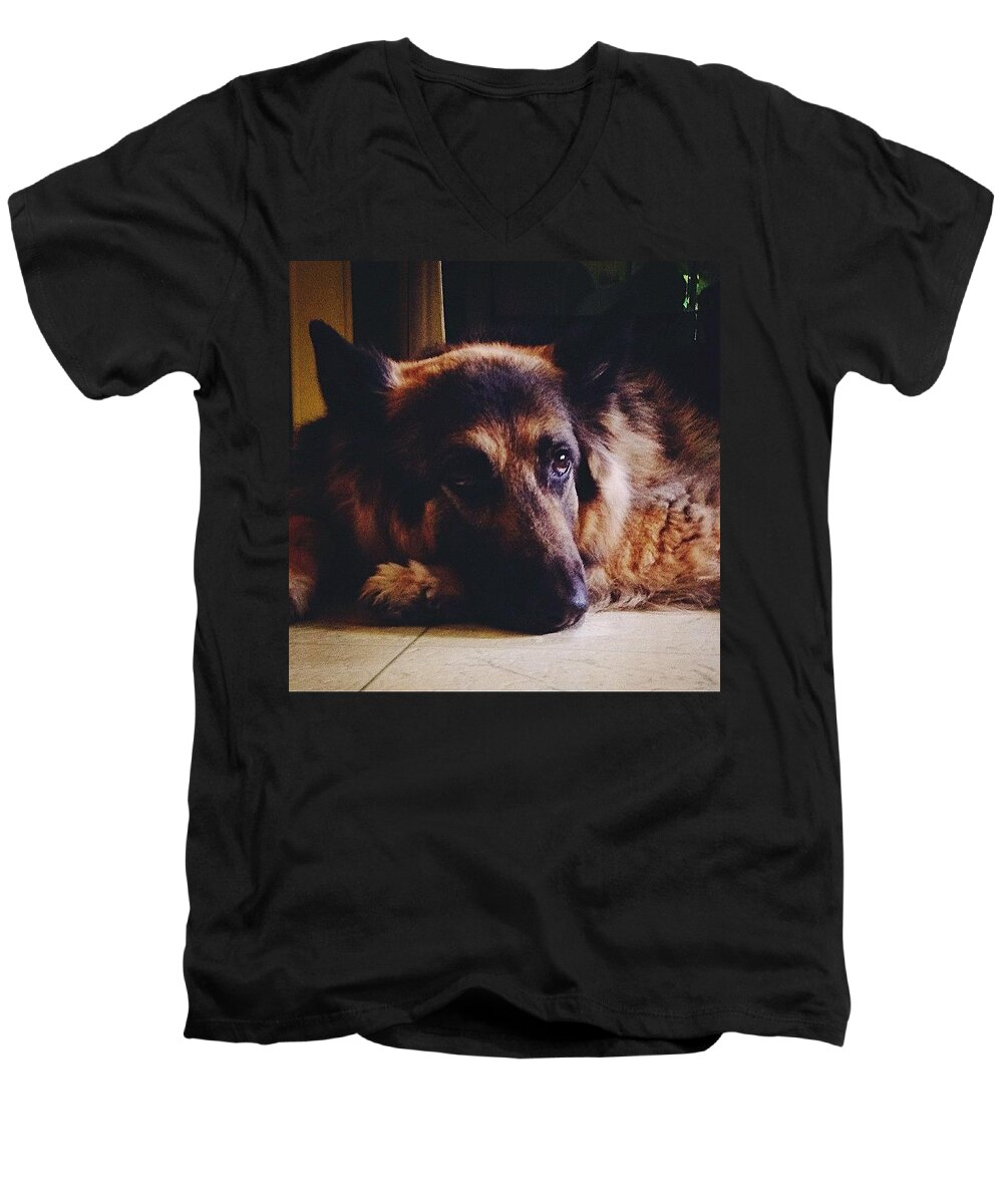 King-shepherd Men's V-Neck T-Shirt featuring the photograph Princess by Frank J Casella