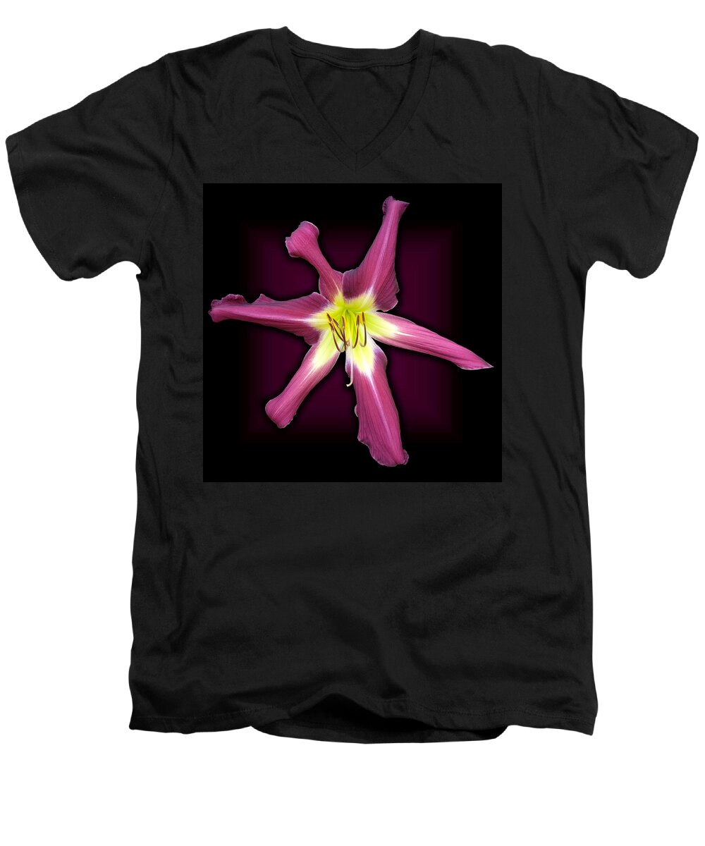 Purple Men's V-Neck T-Shirt featuring the photograph Purple Many Faces Daylily by Tara Hutton