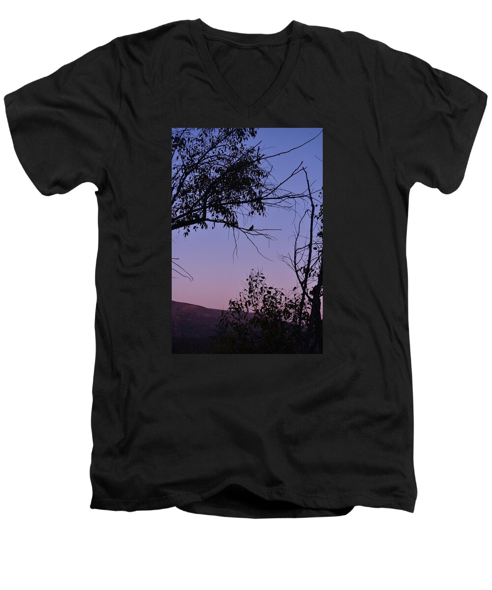 Linda Brody Men's V-Neck T-Shirt featuring the photograph Purple Sunset with Tree and Bird Silhouette by Linda Brody