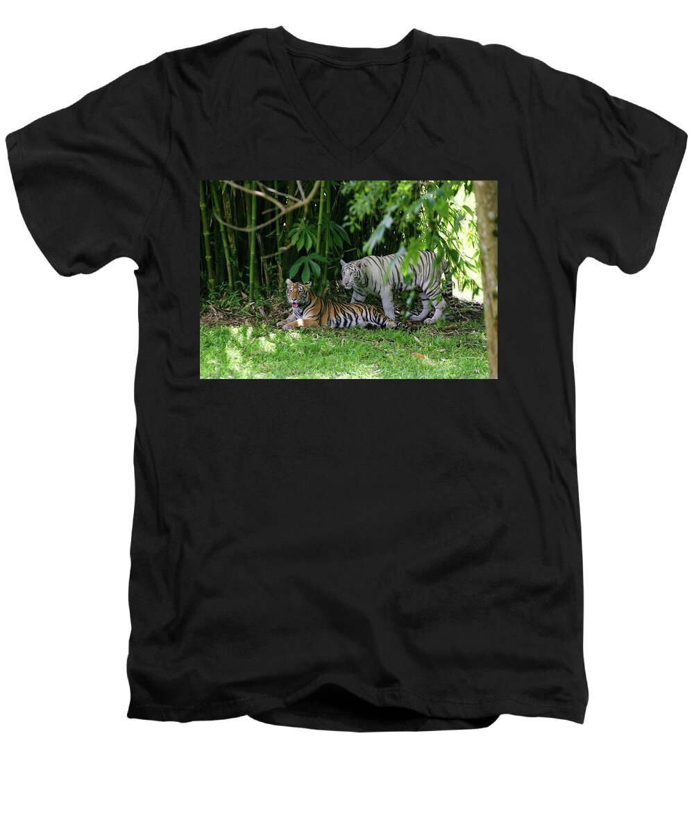 Hawaii Men's V-Neck T-Shirt featuring the photograph Rain Forest Tigers by Anthony Jones